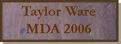 Taylor at the 2006 Jerry Lewis MDA Telethon